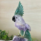 Large Hand - Carved Amethyst Cockatoo 8.6" Long on an Amethyst Cluster #3004 - AMCAM - 055 - Brazil GemsBrazil GemsLarge Hand - Carved Amethyst Cockatoo 8.6" Long on an Amethyst Cluster #3004 - AMCAM - 055Crystal Birds3004 - AMCAM - 055