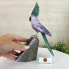 Large Hand - Carved Amethyst Cockatoo 8.6" Long on an Amethyst Cluster #3004 - AMCAM - 055 - Brazil GemsBrazil GemsLarge Hand - Carved Amethyst Cockatoo 8.6" Long on an Amethyst Cluster #3004 - AMCAM - 055Crystal Birds3004 - AMCAM - 055
