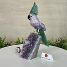 Large Hand - Carved Amethyst Cockatoo 8.6" Long on an Amethyst Cluster #3004 - AMCAM - 055 - Brazil GemsBrazil GemsLarge Hand - Carved Amethyst Cockatoo 8.6" Long on an Amethyst Cluster #3004 - AMCAM - 055Crystal Birds3004 - AMCAM - 055