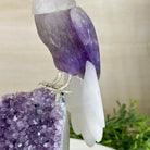 Large Hand - Carved Amethyst Eagle 7.5" Long on an Amethyst Cluster #3005 - AMEAM - 046 - Brazil GemsBrazil GemsLarge Hand - Carved Amethyst Eagle 7.5" Long on an Amethyst Cluster #3005 - AMEAM - 046Crystal Birds3005 - AMEAM - 046