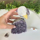 Large Hand - Carved Amethyst Eagle 7.5" Long on an Amethyst Cluster #3005 - AMEAM - 046 - Brazil GemsBrazil GemsLarge Hand - Carved Amethyst Eagle 7.5" Long on an Amethyst Cluster #3005 - AMEAM - 046Crystal Birds3005 - AMEAM - 046