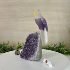 Large Hand - Carved Amethyst Eagle 7.5" Long on an Amethyst Cluster #3005 - AMEAM - 046 - Brazil GemsBrazil GemsLarge Hand - Carved Amethyst Eagle 7.5" Long on an Amethyst Cluster #3005 - AMEAM - 046Crystal Birds3005 - AMEAM - 046
