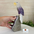Large Hand - Carved Amethyst Eagle 7.5" Long on an Amethyst Cluster #3005 - AMEAM - 046 - Brazil GemsBrazil GemsLarge Hand - Carved Amethyst Eagle 7.5" Long on an Amethyst Cluster #3005 - AMEAM - 046Crystal Birds3005 - AMEAM - 046