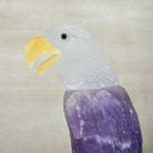 Large Hand - Carved Amethyst Eagle 7.5" Long on an Amethyst Cluster #3005 - AMEAM - 046 - Brazil GemsBrazil GemsLarge Hand - Carved Amethyst Eagle 7.5" Long on an Amethyst Cluster #3005 - AMEAM - 046Crystal Birds3005 - AMEAM - 046
