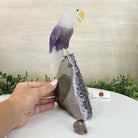 Large Hand - Carved Amethyst Eagle 7.5" Long on an Amethyst Cluster #3005 - AMEAM - 046 - Brazil GemsBrazil GemsLarge Hand - Carved Amethyst Eagle 7.5" Long on an Amethyst Cluster #3005 - AMEAM - 046Crystal Birds3005 - AMEAM - 046