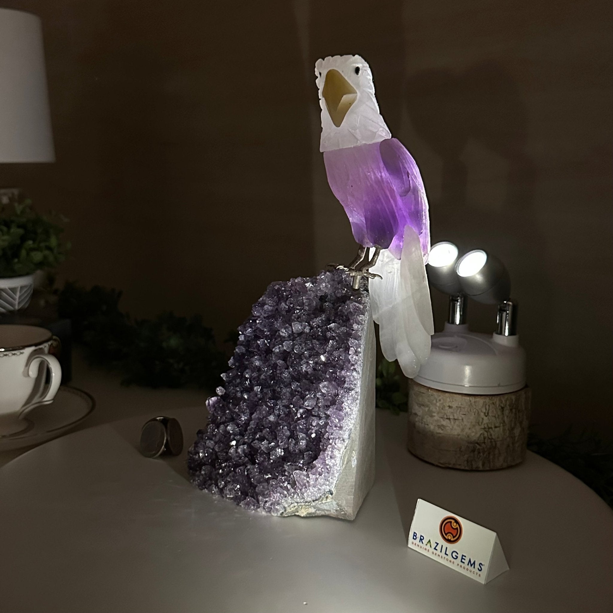 Large Hand - Carved Amethyst Eagle 7.5" Long on an Amethyst Cluster #3005 - AMEAM - 046 - Brazil GemsBrazil GemsLarge Hand - Carved Amethyst Eagle 7.5" Long on an Amethyst Cluster #3005 - AMEAM - 046Crystal Birds3005 - AMEAM - 046