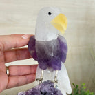 Large Hand - Carved Amethyst Eagle 7.5" Long on an Amethyst Cluster #3005 - AMEAM - 046 - Brazil GemsBrazil GemsLarge Hand - Carved Amethyst Eagle 7.5" Long on an Amethyst Cluster #3005 - AMEAM - 046Crystal Birds3005 - AMEAM - 046