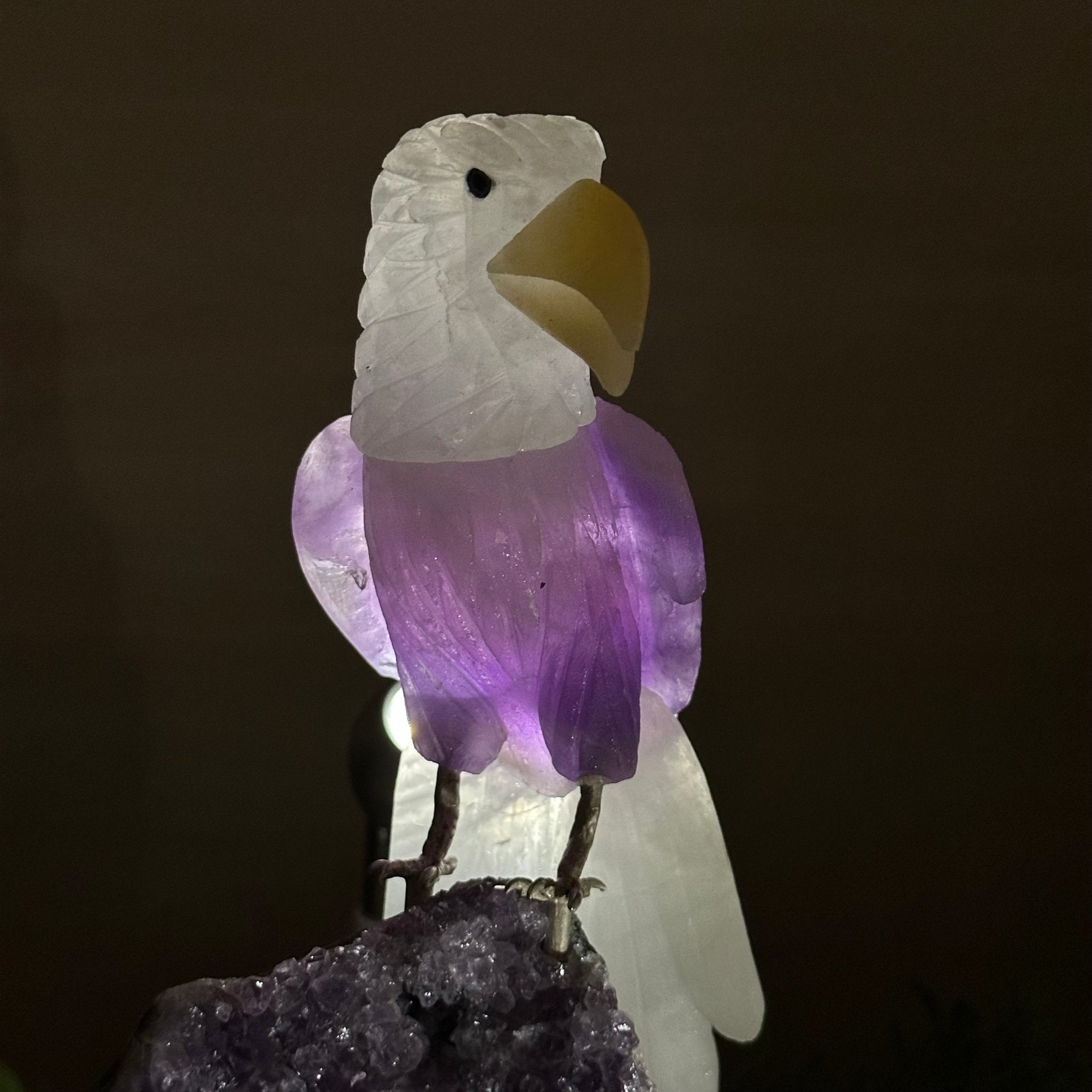 Large Hand - Carved Amethyst Eagle 7.5" Long on an Amethyst Cluster #3005 - AMEAM - 046 - Brazil GemsBrazil GemsLarge Hand - Carved Amethyst Eagle 7.5" Long on an Amethyst Cluster #3005 - AMEAM - 046Crystal Birds3005 - AMEAM - 046