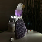 Large Hand - Carved Amethyst Eagle 7.5" Long on an Amethyst Cluster #3005 - AMEAM - 046 - Brazil GemsBrazil GemsLarge Hand - Carved Amethyst Eagle 7.5" Long on an Amethyst Cluster #3005 - AMEAM - 046Crystal Birds3005 - AMEAM - 046