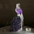 Large Hand - Carved Amethyst Eagle 7.5" Long on an Amethyst Cluster #3005 - AMEAM - 046 - Brazil GemsBrazil GemsLarge Hand - Carved Amethyst Eagle 7.5" Long on an Amethyst Cluster #3005 - AMEAM - 046Crystal Birds3005 - AMEAM - 046