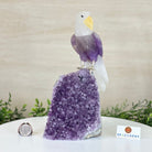 Large Hand - Carved Amethyst Eagle 7.5" Long on an Amethyst Cluster #3005 - AMEAM - 046 - Brazil GemsBrazil GemsLarge Hand - Carved Amethyst Eagle 7.5" Long on an Amethyst Cluster #3005 - AMEAM - 046Crystal Birds3005 - AMEAM - 046