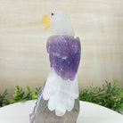 Large Hand - Carved Amethyst Eagle 7.5" Long on an Amethyst Cluster #3005 - AMEAM - 046 - Brazil GemsBrazil GemsLarge Hand - Carved Amethyst Eagle 7.5" Long on an Amethyst Cluster #3005 - AMEAM - 046Crystal Birds3005 - AMEAM - 046
