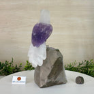 Large Hand - Carved Amethyst Eagle 7.5" Long on an Amethyst Cluster #3005 - AMEAM - 046 - Brazil GemsBrazil GemsLarge Hand - Carved Amethyst Eagle 7.5" Long on an Amethyst Cluster #3005 - AMEAM - 046Crystal Birds3005 - AMEAM - 046