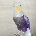 Large Hand - Carved Amethyst Eagle 7.5" Long on an Amethyst Cluster #3005 - AMEAM - 046 - Brazil GemsBrazil GemsLarge Hand - Carved Amethyst Eagle 7.5" Long on an Amethyst Cluster #3005 - AMEAM - 046Crystal Birds3005 - AMEAM - 046