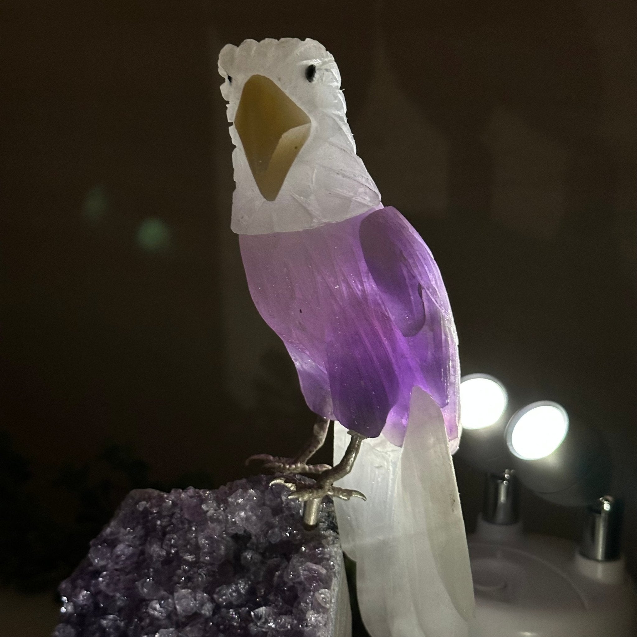 Large Hand - Carved Amethyst Eagle 7.5" Long on an Amethyst Cluster #3005 - AMEAM - 046 - Brazil GemsBrazil GemsLarge Hand - Carved Amethyst Eagle 7.5" Long on an Amethyst Cluster #3005 - AMEAM - 046Crystal Birds3005 - AMEAM - 046