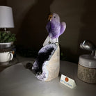 Large Hand - Carved Amethyst Parrot 8.6" Long on an Amethyst Cluster #3005 - AMPAM - 050 - Brazil GemsBrazil GemsLarge Hand - Carved Amethyst Parrot 8.6" Long on an Amethyst Cluster #3005 - AMPAM - 050Crystal Birds3005 - AMPAM - 050