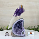 Large Hand - Carved Amethyst Parrot 8.6" Long on an Amethyst Cluster #3005 - AMPAM - 050 - Brazil GemsBrazil GemsLarge Hand - Carved Amethyst Parrot 8.6" Long on an Amethyst Cluster #3005 - AMPAM - 050Crystal Birds3005 - AMPAM - 050
