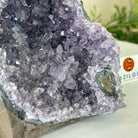 Large Hand - Carved Amethyst Parrot 8.6" Long on an Amethyst Cluster #3005 - AMPAM - 050 - Brazil GemsBrazil GemsLarge Hand - Carved Amethyst Parrot 8.6" Long on an Amethyst Cluster #3005 - AMPAM - 050Crystal Birds3005 - AMPAM - 050