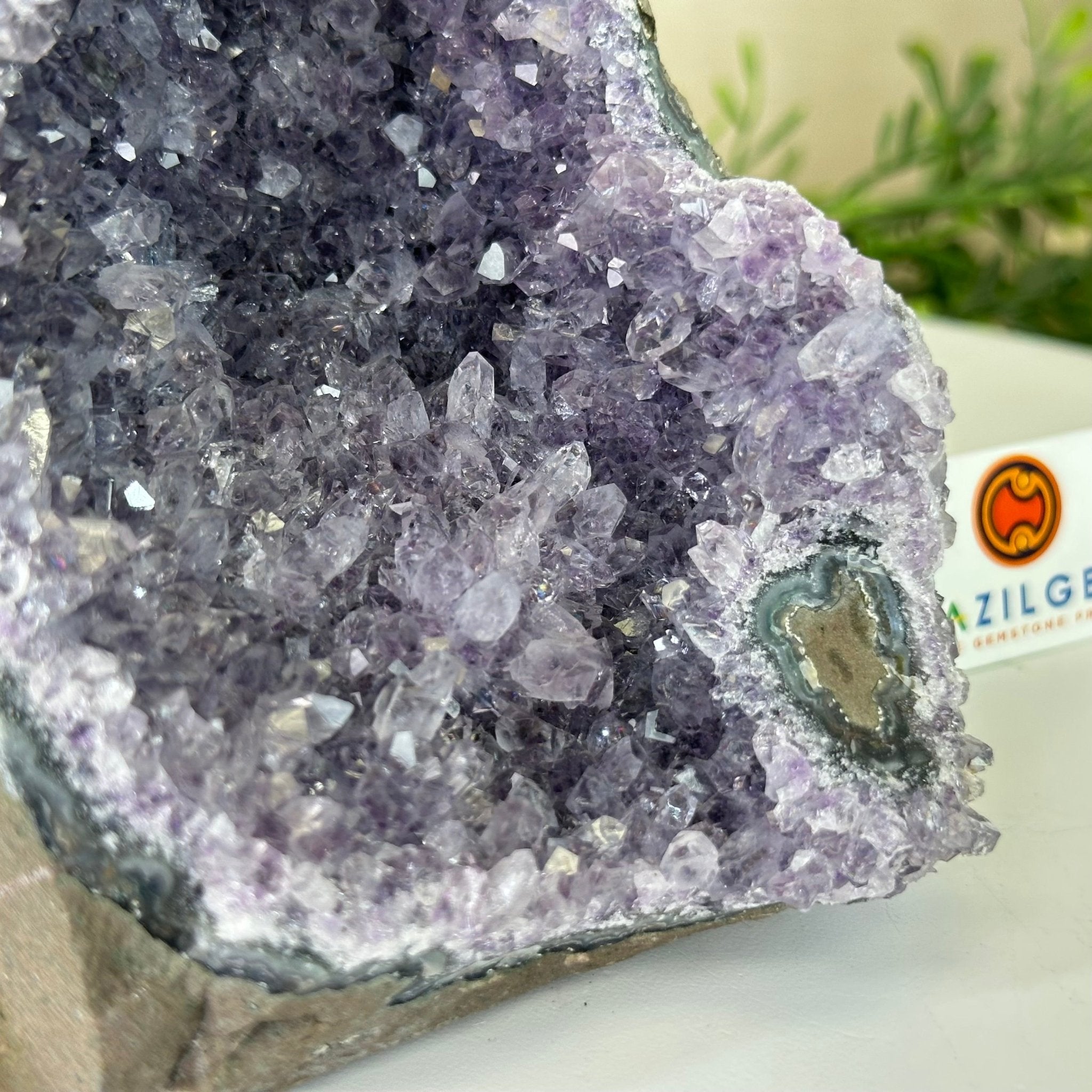 Large Hand - Carved Amethyst Parrot 8.6" Long on an Amethyst Cluster #3005 - AMPAM - 050 - Brazil GemsBrazil GemsLarge Hand - Carved Amethyst Parrot 8.6" Long on an Amethyst Cluster #3005 - AMPAM - 050Crystal Birds3005 - AMPAM - 050