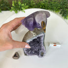 Large Hand - Carved Amethyst Parrot 8.6" Long on an Amethyst Cluster #3005 - AMPAM - 050 - Brazil GemsBrazil GemsLarge Hand - Carved Amethyst Parrot 8.6" Long on an Amethyst Cluster #3005 - AMPAM - 050Crystal Birds3005 - AMPAM - 050