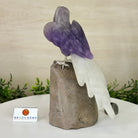 Large Hand - Carved Amethyst Parrot 8.6" Long on an Amethyst Cluster #3005 - AMPAM - 050 - Brazil GemsBrazil GemsLarge Hand - Carved Amethyst Parrot 8.6" Long on an Amethyst Cluster #3005 - AMPAM - 050Crystal Birds3005 - AMPAM - 050