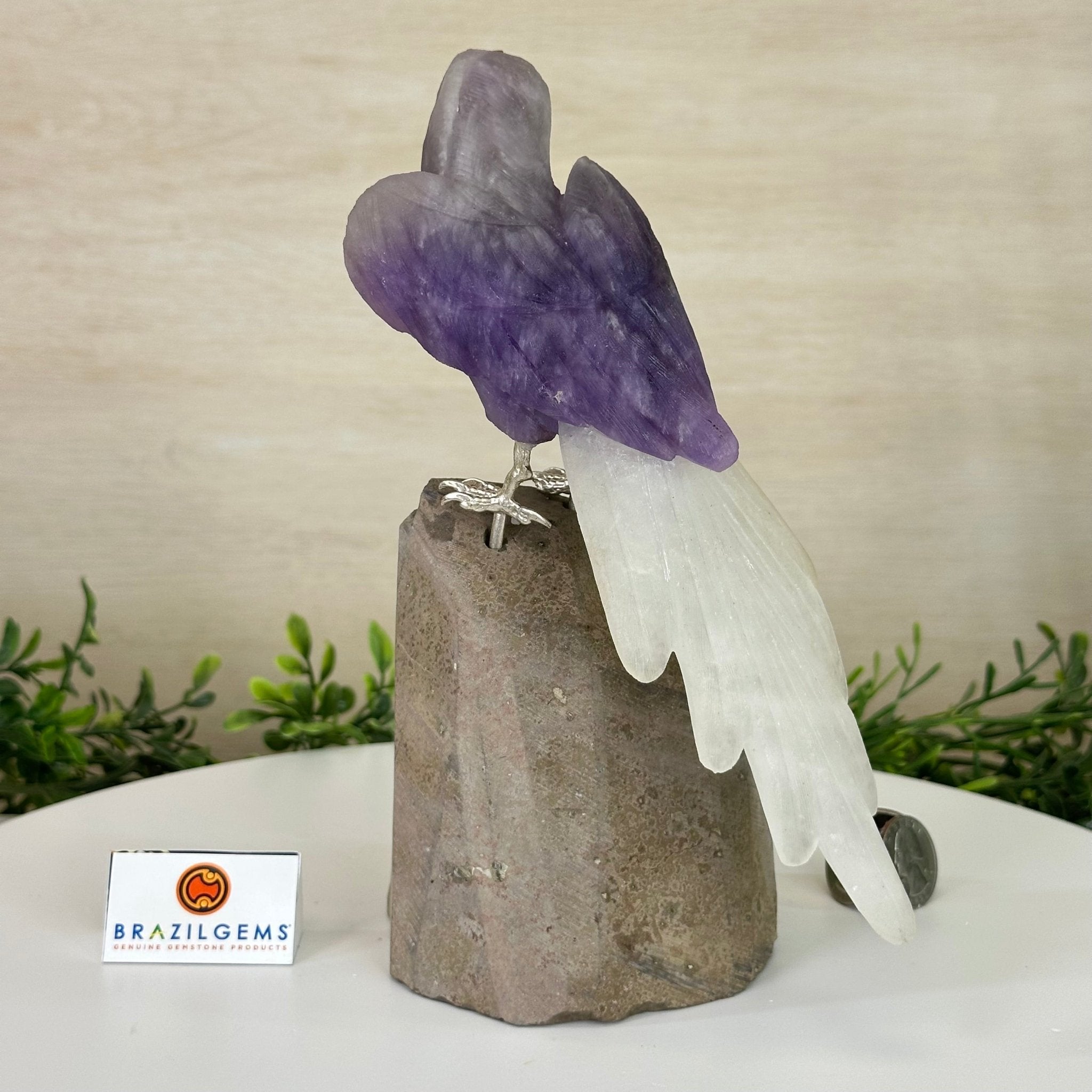 Large Hand - Carved Amethyst Parrot 8.6" Long on an Amethyst Cluster #3005 - AMPAM - 050 - Brazil GemsBrazil GemsLarge Hand - Carved Amethyst Parrot 8.6" Long on an Amethyst Cluster #3005 - AMPAM - 050Crystal Birds3005 - AMPAM - 050