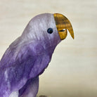 Large Hand - Carved Amethyst Parrot 8.6" Long on an Amethyst Cluster #3005 - AMPAM - 050 - Brazil GemsBrazil GemsLarge Hand - Carved Amethyst Parrot 8.6" Long on an Amethyst Cluster #3005 - AMPAM - 050Crystal Birds3005 - AMPAM - 050