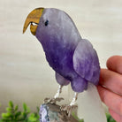 Large Hand - Carved Amethyst Parrot 8.6" Long on an Amethyst Cluster #3005 - AMPAM - 050 - Brazil GemsBrazil GemsLarge Hand - Carved Amethyst Parrot 8.6" Long on an Amethyst Cluster #3005 - AMPAM - 050Crystal Birds3005 - AMPAM - 050