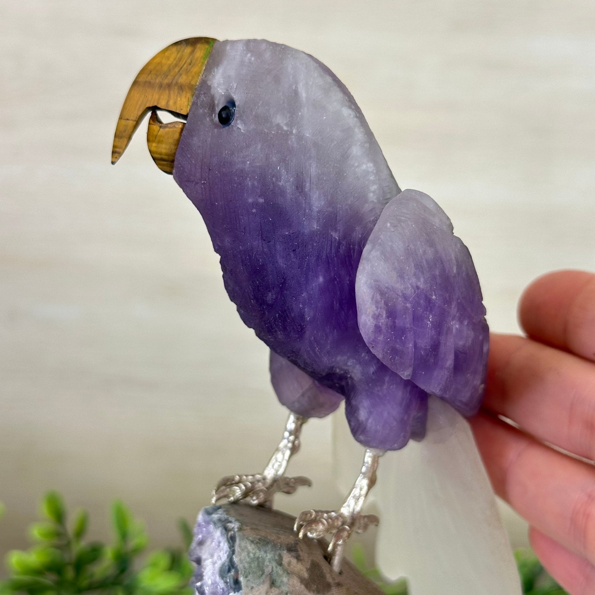 Large Hand - Carved Amethyst Parrot 8.6" Long on an Amethyst Cluster #3005 - AMPAM - 050 - Brazil GemsBrazil GemsLarge Hand - Carved Amethyst Parrot 8.6" Long on an Amethyst Cluster #3005 - AMPAM - 050Crystal Birds3005 - AMPAM - 050