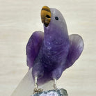 Large Hand - Carved Amethyst Parrot 8.6" Long on an Amethyst Cluster #3005 - AMPAM - 050 - Brazil GemsBrazil GemsLarge Hand - Carved Amethyst Parrot 8.6" Long on an Amethyst Cluster #3005 - AMPAM - 050Crystal Birds3005 - AMPAM - 050