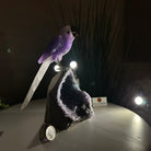 Large Hand - Carved Amethyst Parrot 8.6" Long on an Amethyst Cluster #3005 - AMPAM - 050 - Brazil GemsBrazil GemsLarge Hand - Carved Amethyst Parrot 8.6" Long on an Amethyst Cluster #3005 - AMPAM - 050Crystal Birds3005 - AMPAM - 050