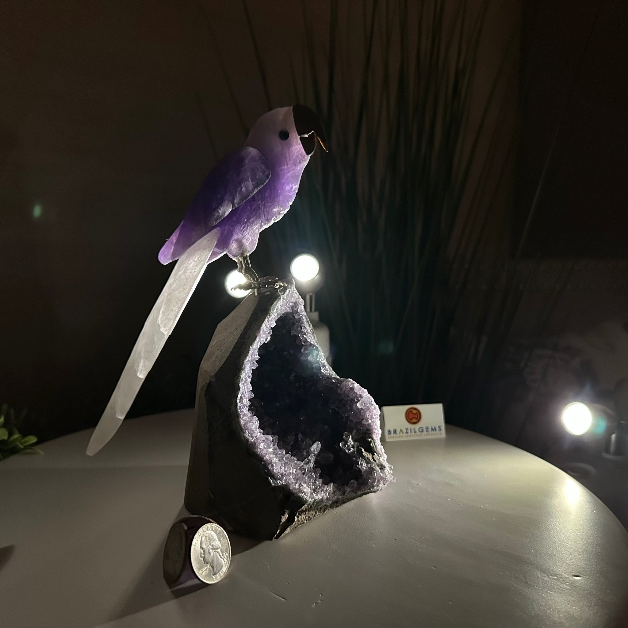 Large Hand - Carved Amethyst Parrot 8.6" Long on an Amethyst Cluster #3005 - AMPAM - 050 - Brazil GemsBrazil GemsLarge Hand - Carved Amethyst Parrot 8.6" Long on an Amethyst Cluster #3005 - AMPAM - 050Crystal Birds3005 - AMPAM - 050