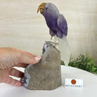 Large Hand - Carved Amethyst Parrot 8.6" Long on an Amethyst Cluster #3005 - AMPAM - 050 - Brazil GemsBrazil GemsLarge Hand - Carved Amethyst Parrot 8.6" Long on an Amethyst Cluster #3005 - AMPAM - 050Crystal Birds3005 - AMPAM - 050