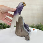 Large Hand - Carved Amethyst Parrot 8.6" Long on an Amethyst Cluster #3005 - AMPAM - 050 - Brazil GemsBrazil GemsLarge Hand - Carved Amethyst Parrot 8.6" Long on an Amethyst Cluster #3005 - AMPAM - 050Crystal Birds3005 - AMPAM - 050