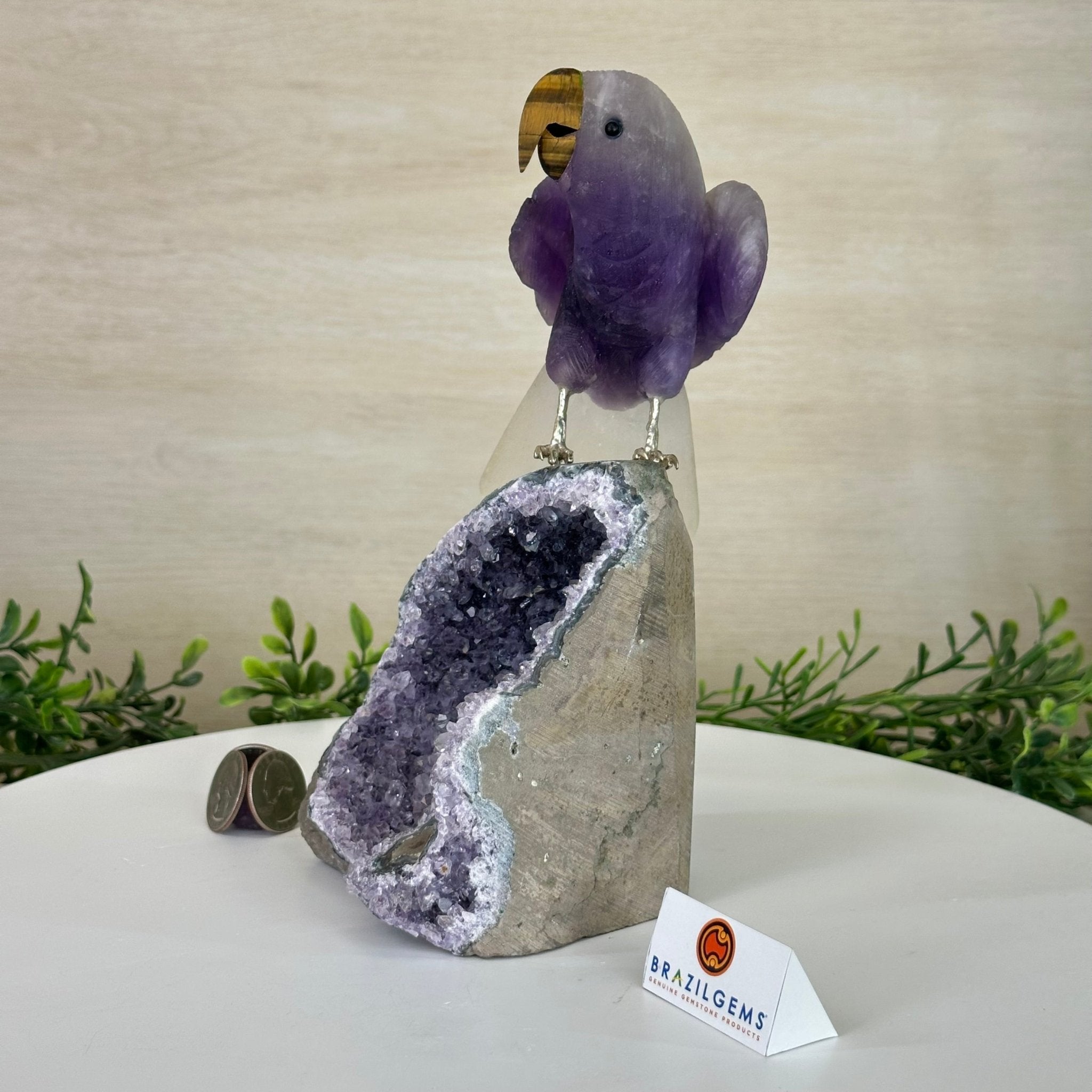 Large Hand - Carved Amethyst Parrot 8.6" Long on an Amethyst Cluster #3005 - AMPAM - 050 - Brazil GemsBrazil GemsLarge Hand - Carved Amethyst Parrot 8.6" Long on an Amethyst Cluster #3005 - AMPAM - 050Crystal Birds3005 - AMPAM - 050