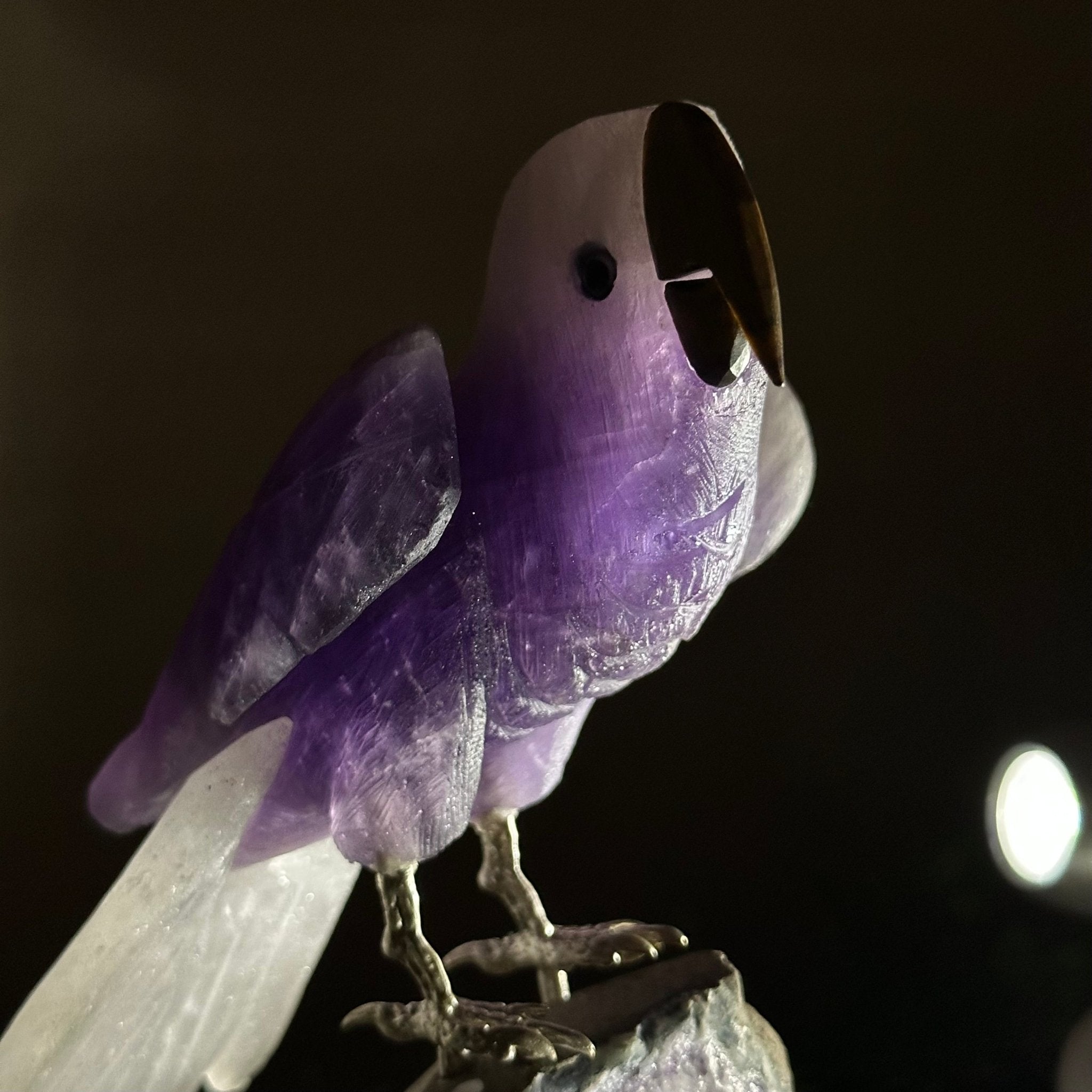 Large Hand - Carved Amethyst Parrot 8.6" Long on an Amethyst Cluster #3005 - AMPAM - 050 - Brazil GemsBrazil GemsLarge Hand - Carved Amethyst Parrot 8.6" Long on an Amethyst Cluster #3005 - AMPAM - 050Crystal Birds3005 - AMPAM - 050