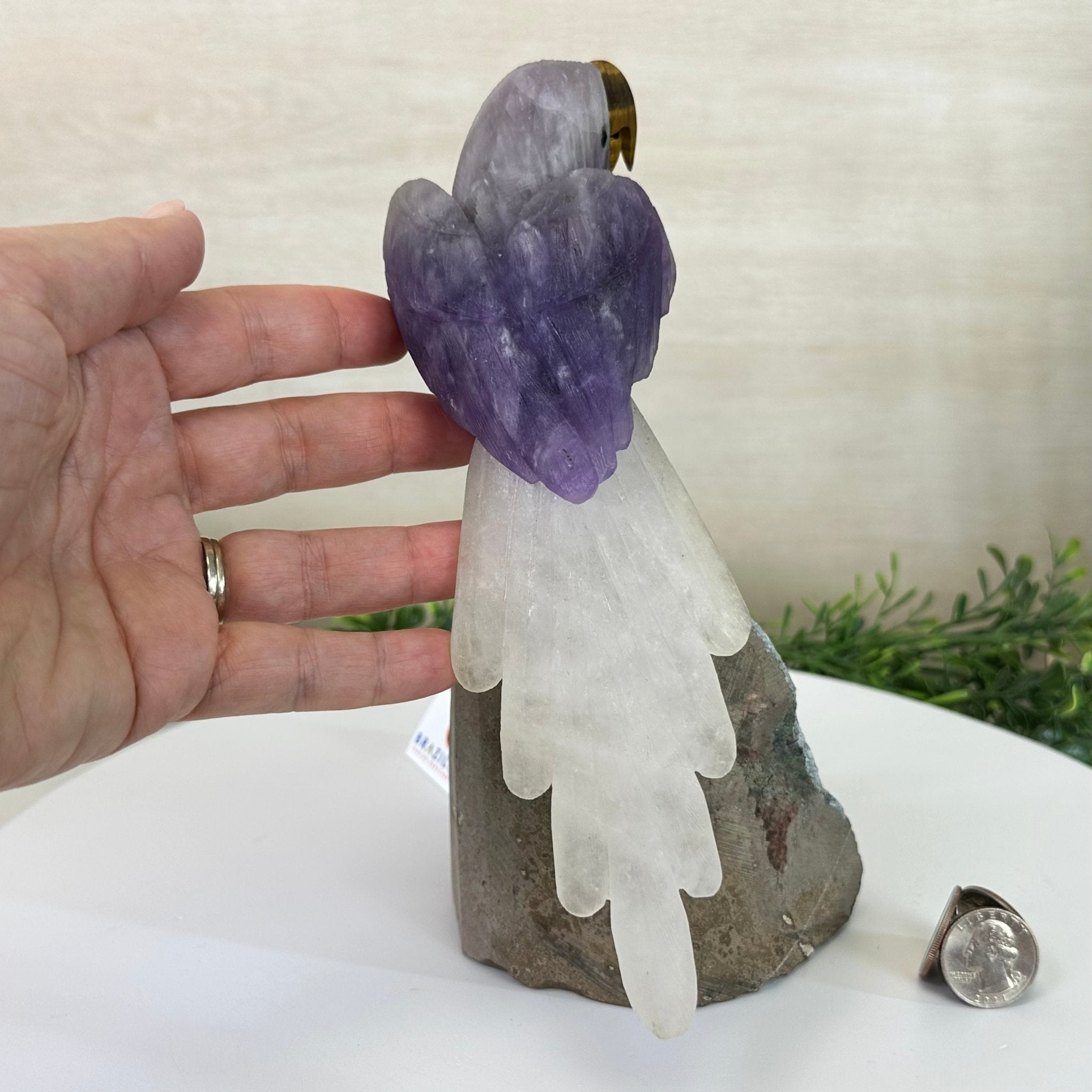 Large Hand - Carved Amethyst Parrot 8.6" Long on an Amethyst Cluster #3005 - AMPAM - 050 - Brazil GemsBrazil GemsLarge Hand - Carved Amethyst Parrot 8.6" Long on an Amethyst Cluster #3005 - AMPAM - 050Crystal Birds3005 - AMPAM - 050
