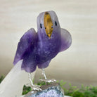 Large Hand - Carved Amethyst Parrot 8.6" Long on an Amethyst Cluster #3005 - AMPAM - 050 - Brazil GemsBrazil GemsLarge Hand - Carved Amethyst Parrot 8.6" Long on an Amethyst Cluster #3005 - AMPAM - 050Crystal Birds3005 - AMPAM - 050