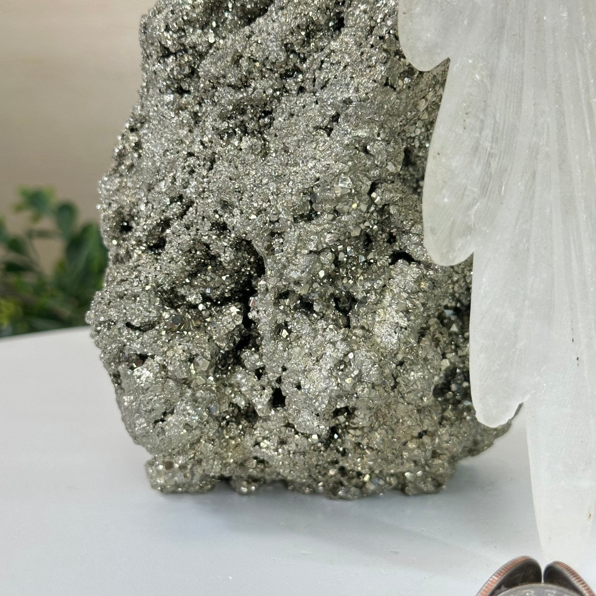 Large Hand - Carved Amethyst Parrot 9.1" Long on a Pyrite Cluster #3005 - AMPPY - 051 - Brazil GemsBrazil GemsLarge Hand - Carved Amethyst Parrot 9.1" Long on a Pyrite Cluster #3005 - AMPPY - 051Crystal Birds3005 - AMPPY - 051