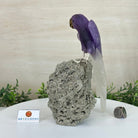 Large Hand - Carved Amethyst Parrot 9.1" Long on a Pyrite Cluster #3005 - AMPPY - 051 - Brazil GemsBrazil GemsLarge Hand - Carved Amethyst Parrot 9.1" Long on a Pyrite Cluster #3005 - AMPPY - 051Crystal Birds3005 - AMPPY - 051