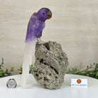 Large Hand - Carved Amethyst Parrot 9.1" Long on a Pyrite Cluster #3005 - AMPPY - 051 - Brazil GemsBrazil GemsLarge Hand - Carved Amethyst Parrot 9.1" Long on a Pyrite Cluster #3005 - AMPPY - 051Crystal Birds3005 - AMPPY - 051