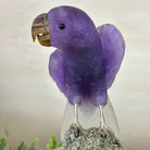 Large Hand - Carved Amethyst Parrot 9.1" Long on a Pyrite Cluster #3005 - AMPPY - 051 - Brazil GemsBrazil GemsLarge Hand - Carved Amethyst Parrot 9.1" Long on a Pyrite Cluster #3005 - AMPPY - 051Crystal Birds3005 - AMPPY - 051