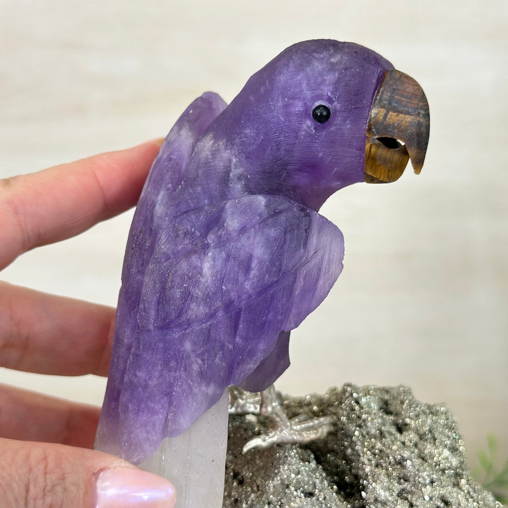 Large Hand - Carved Amethyst Parrot 9.1" Long on a Pyrite Cluster #3005 - AMPPY - 051 - Brazil GemsBrazil GemsLarge Hand - Carved Amethyst Parrot 9.1" Long on a Pyrite Cluster #3005 - AMPPY - 051Crystal Birds3005 - AMPPY - 051