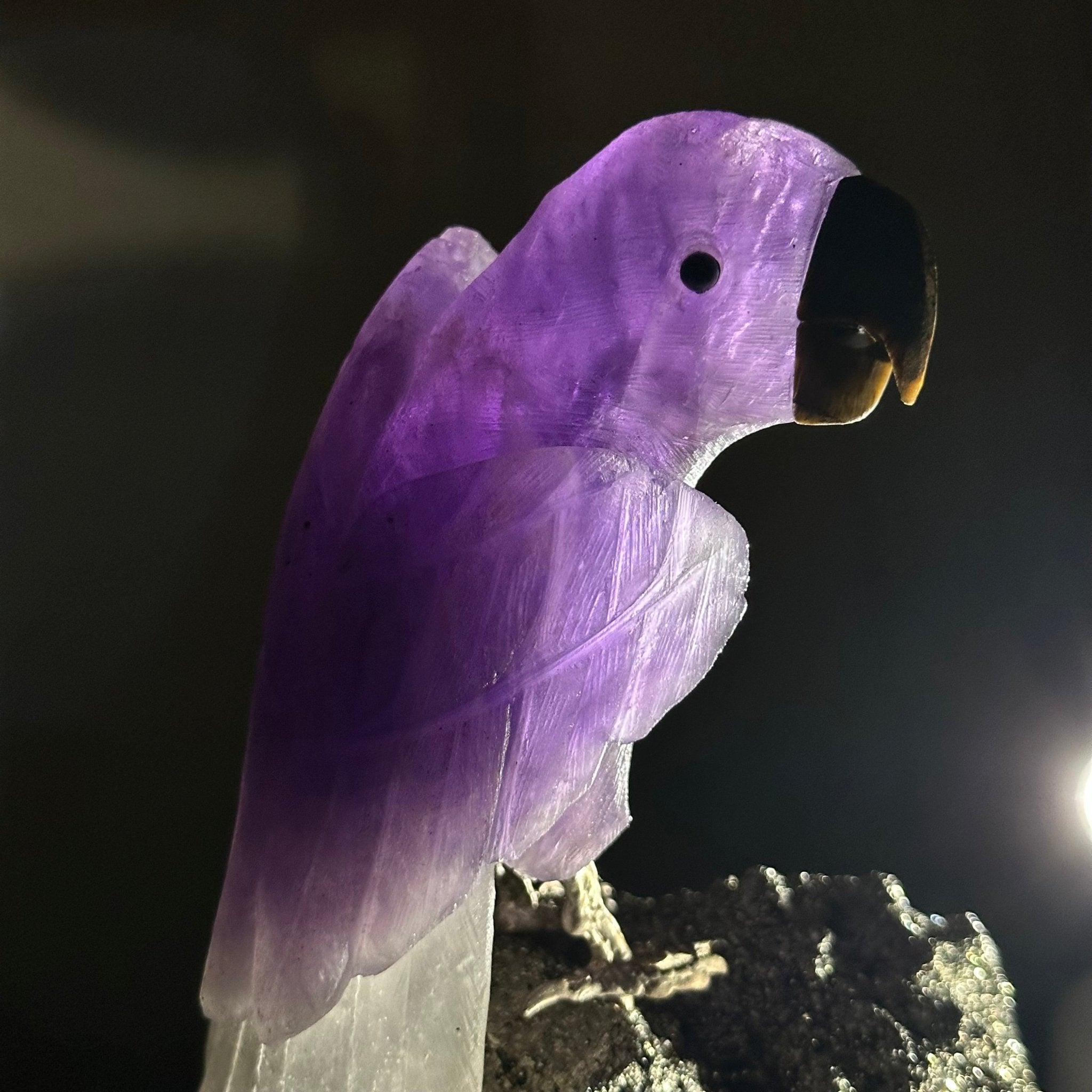 Large Hand - Carved Amethyst Parrot 9.1" Long on a Pyrite Cluster #3005 - AMPPY - 051 - Brazil GemsBrazil GemsLarge Hand - Carved Amethyst Parrot 9.1" Long on a Pyrite Cluster #3005 - AMPPY - 051Crystal Birds3005 - AMPPY - 051