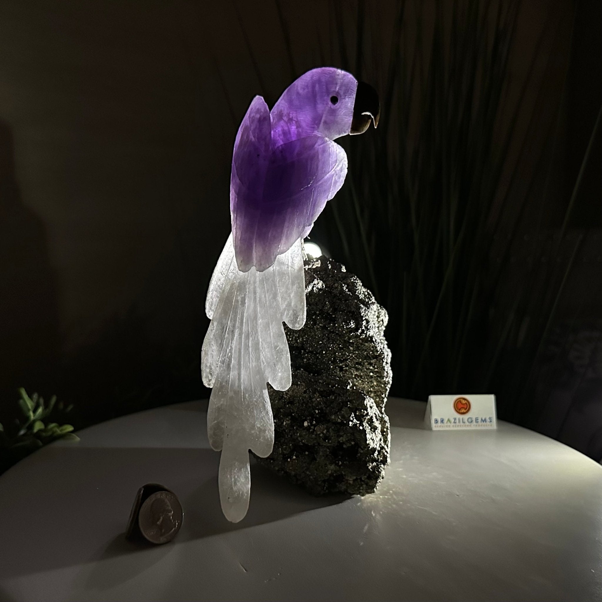 Large Hand - Carved Amethyst Parrot 9.1" Long on a Pyrite Cluster #3005 - AMPPY - 051 - Brazil GemsBrazil GemsLarge Hand - Carved Amethyst Parrot 9.1" Long on a Pyrite Cluster #3005 - AMPPY - 051Crystal Birds3005 - AMPPY - 051