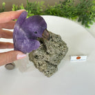 Large Hand - Carved Amethyst Parrot 9.1" Long on a Pyrite Cluster #3005 - AMPPY - 051 - Brazil GemsBrazil GemsLarge Hand - Carved Amethyst Parrot 9.1" Long on a Pyrite Cluster #3005 - AMPPY - 051Crystal Birds3005 - AMPPY - 051