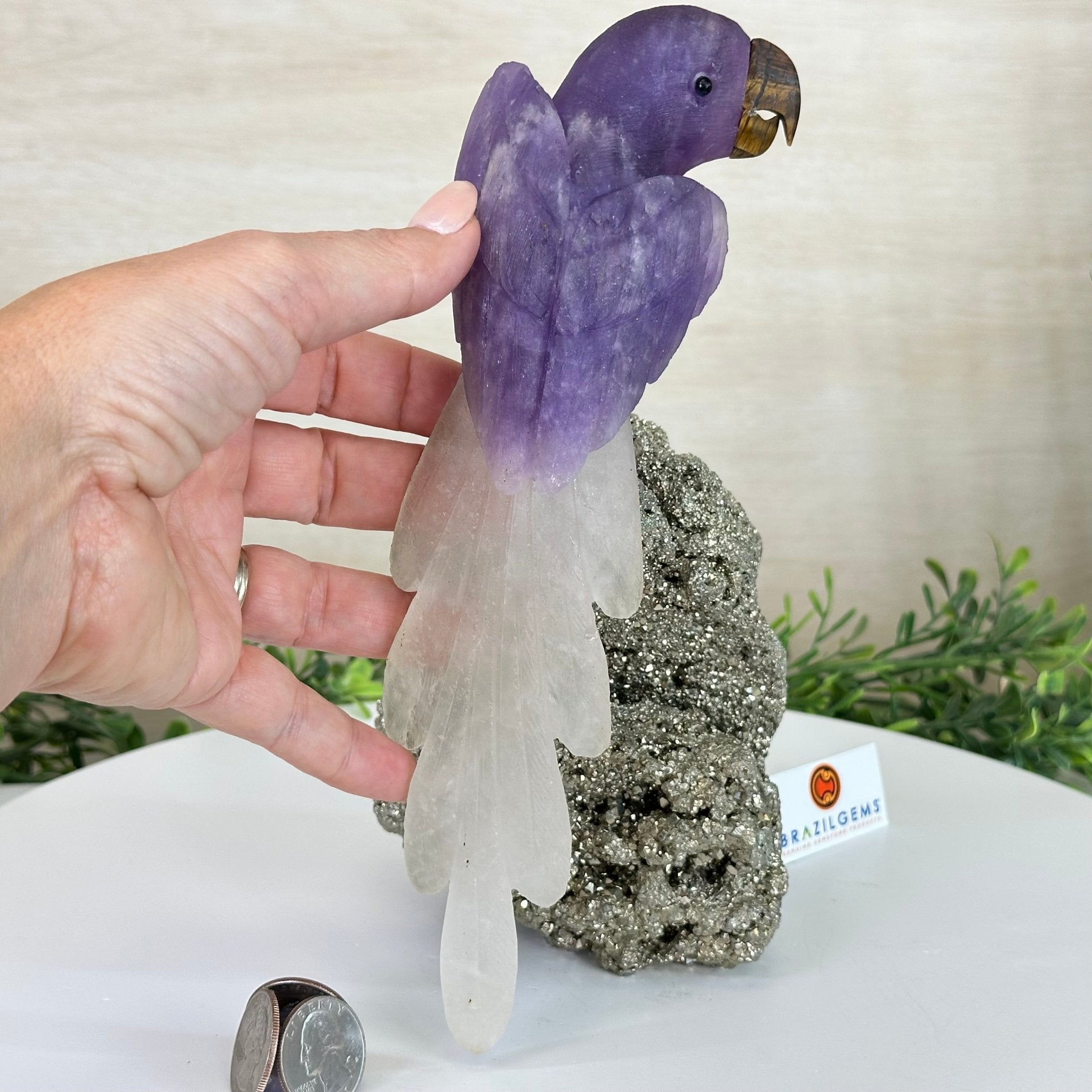 Large Hand - Carved Amethyst Parrot 9.1" Long on a Pyrite Cluster #3005 - AMPPY - 051 - Brazil GemsBrazil GemsLarge Hand - Carved Amethyst Parrot 9.1" Long on a Pyrite Cluster #3005 - AMPPY - 051Crystal Birds3005 - AMPPY - 051