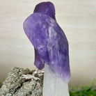 Large Hand - Carved Amethyst Parrot 9.1" Long on a Pyrite Cluster #3005 - AMPPY - 051 - Brazil GemsBrazil GemsLarge Hand - Carved Amethyst Parrot 9.1" Long on a Pyrite Cluster #3005 - AMPPY - 051Crystal Birds3005 - AMPPY - 051