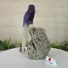 Large Hand - Carved Amethyst Parrot 9.1" Long on a Pyrite Cluster #3005 - AMPPY - 051 - Brazil GemsBrazil GemsLarge Hand - Carved Amethyst Parrot 9.1" Long on a Pyrite Cluster #3005 - AMPPY - 051Crystal Birds3005 - AMPPY - 051