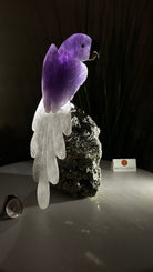 Large Hand - Carved Amethyst Parrot 9.1" Long on a Pyrite Cluster #3005 - AMPPY - 051 - Brazil GemsBrazil GemsLarge Hand - Carved Amethyst Parrot 9.1" Long on a Pyrite Cluster #3005 - AMPPY - 051Crystal Birds3005 - AMPPY - 051
